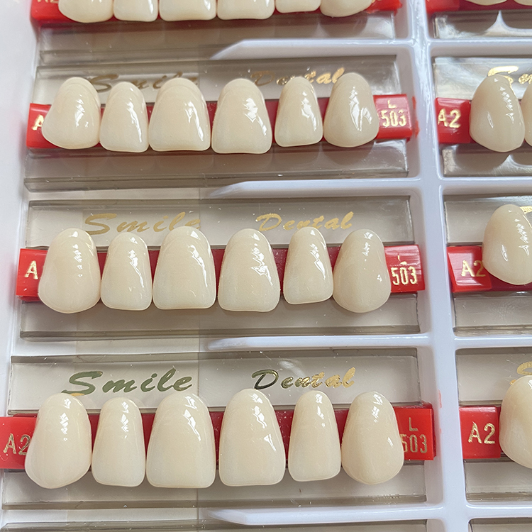 SA33 Synthetic Resin Teeth Three Layer